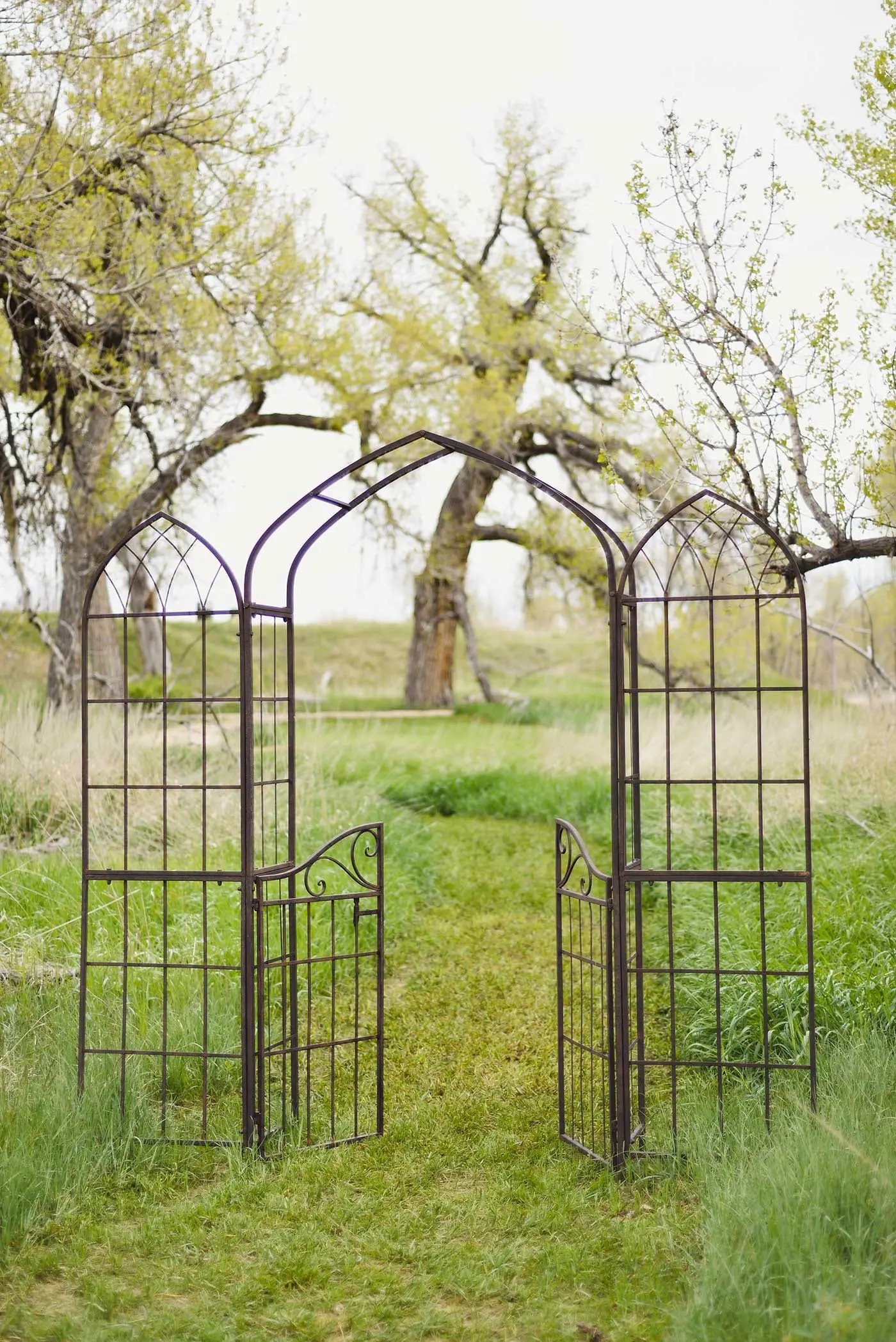 Iron gates in the meadow