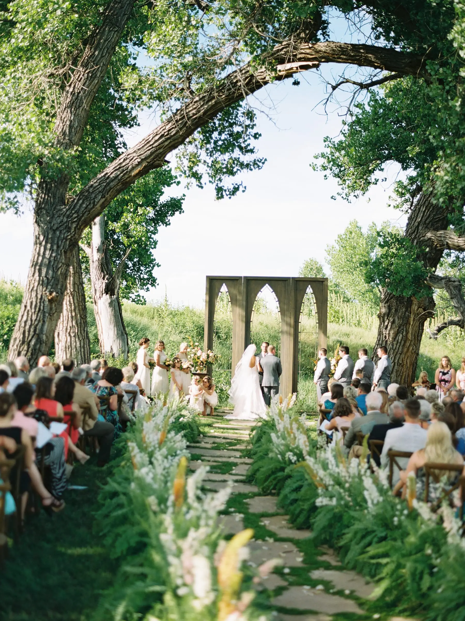 Guests seated in The Glen under cottonwood trees