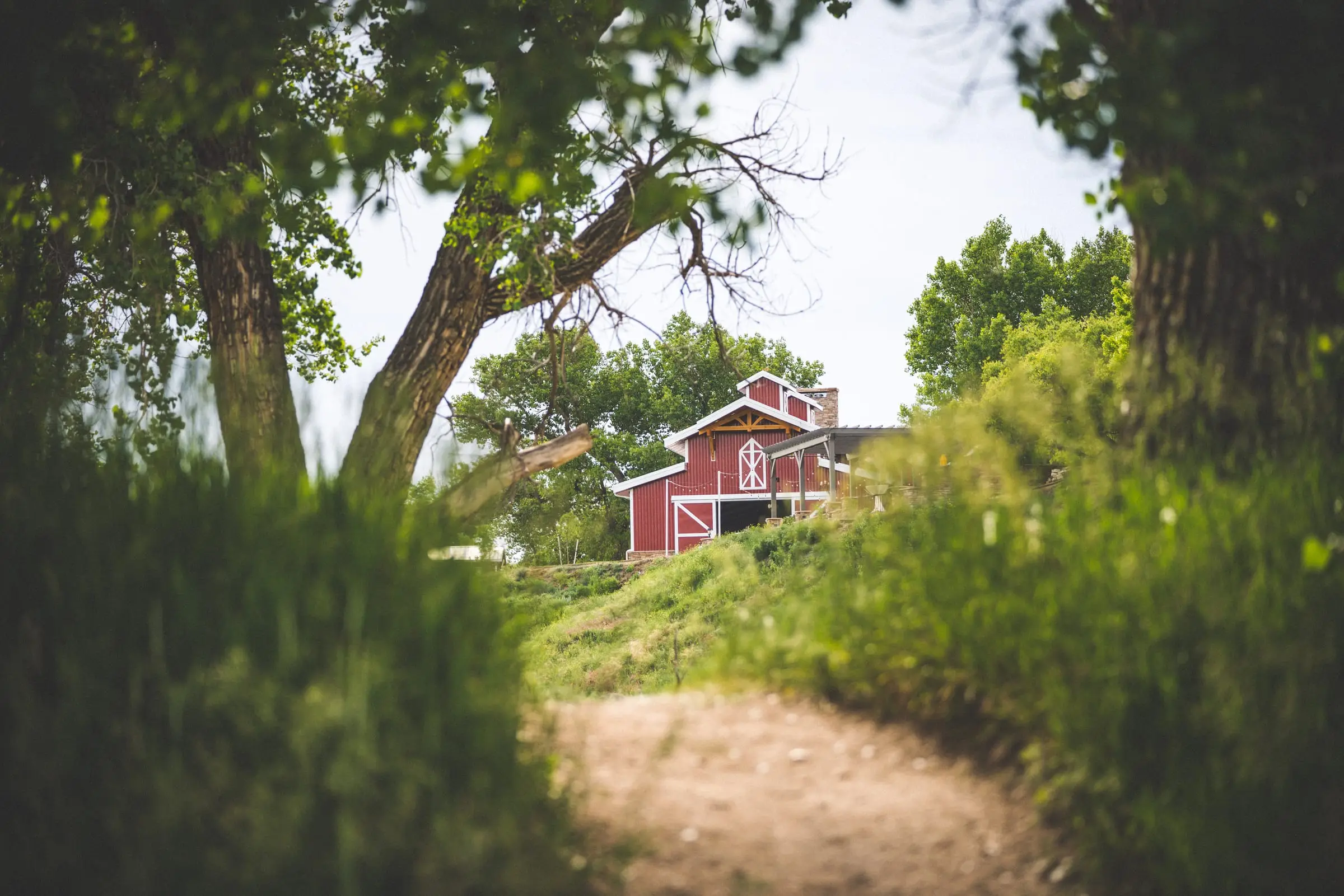 The path through tall grass toward the red pavilion